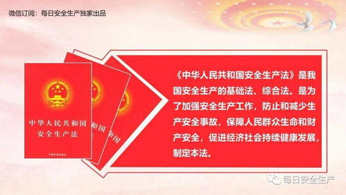 2021版《安全生产法》权威解读 筑牢安全防线，守护发展基石